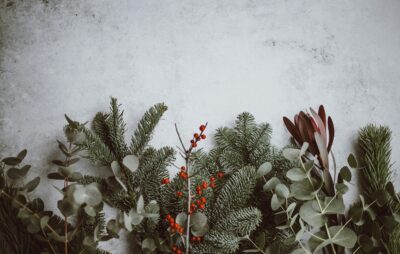 Idées cadeaux pour Noël chez Folles Avoines