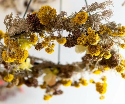 Atelier couronne de fleurs séchées d'automne 30/11